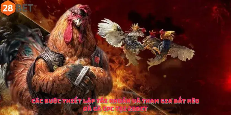 Các bước thiết lập tài khoản và tham gia bắt kèo đá gà CPC Tại 28Bet