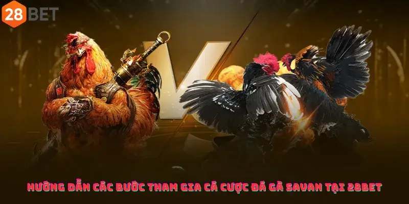 Hướng dẫn các bước tham gia cá cược đá gà Savan Tại 28Bet