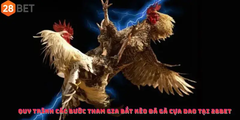 Quy trình các bước tham gia bắt kèo đá gà cựa dao tại 28Bet