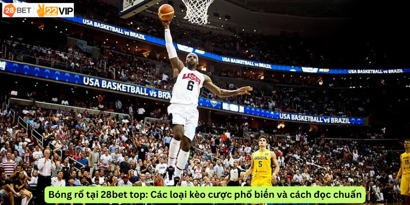 Bóng rổ tại 28bet top: Các loại kèo cược phổ biến và cách đọc chuẩn